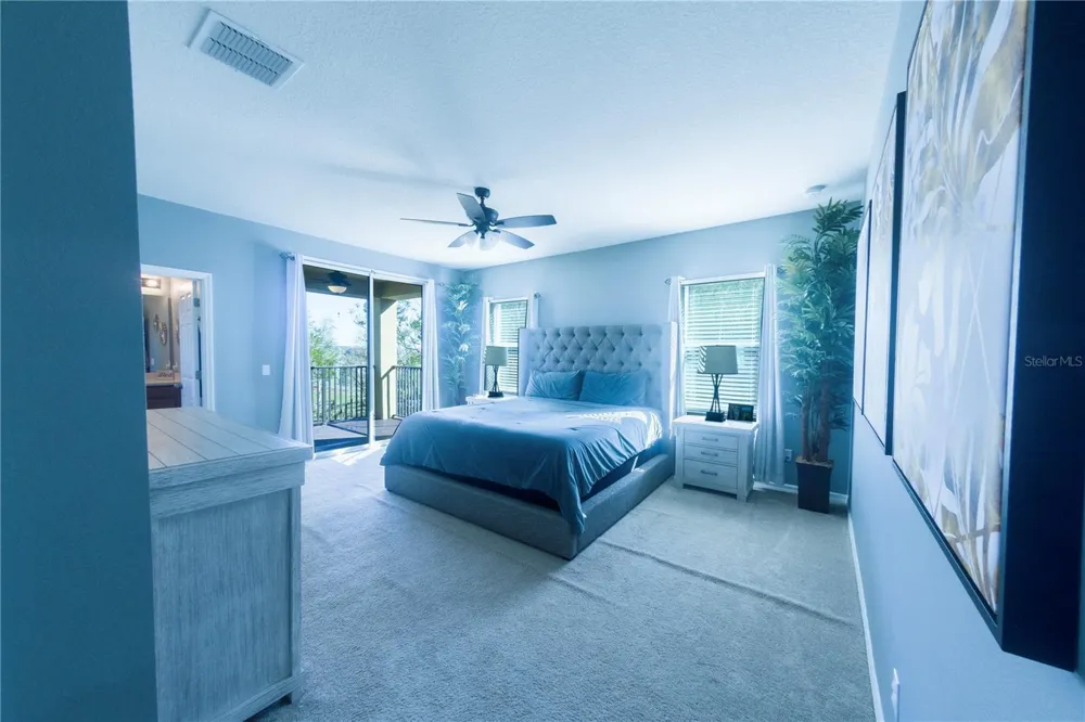 17459 CHATEAU PINE WAY Clermont, FL 34711