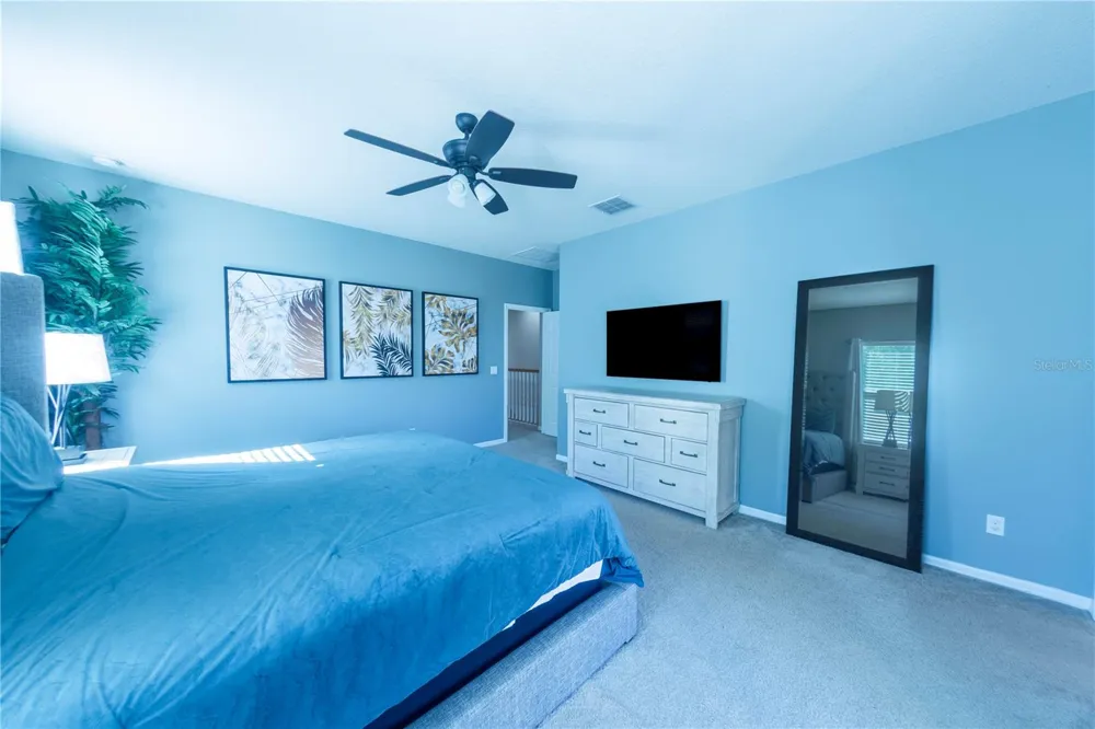 17459 CHATEAU PINE WAY Clermont, FL 34711
