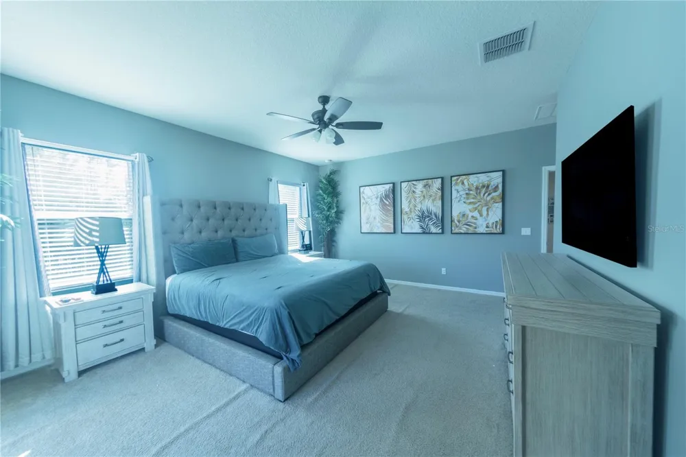 17459 CHATEAU PINE WAY Clermont, FL 34711