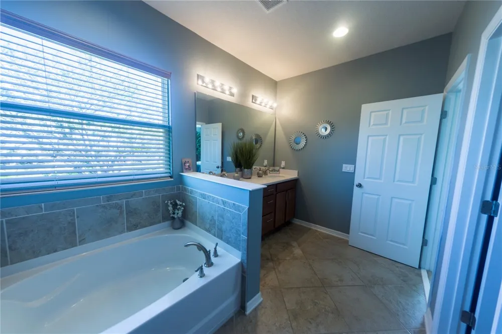 17459 CHATEAU PINE WAY Clermont, FL 34711