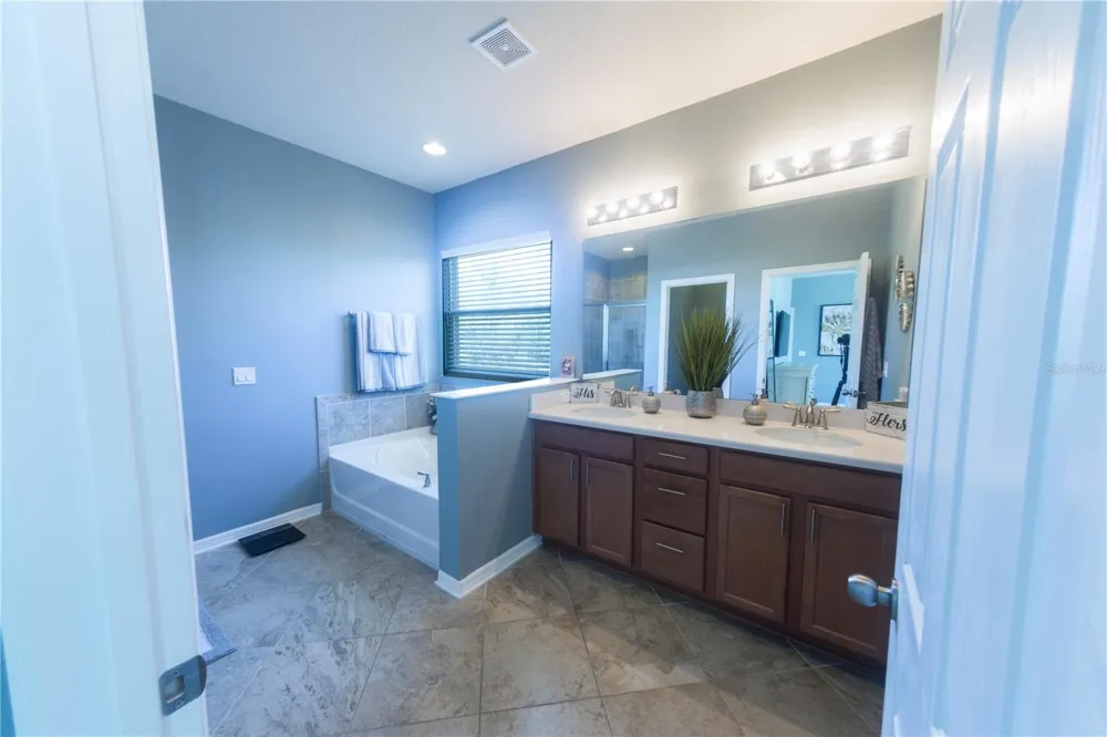 17459 CHATEAU PINE WAY Clermont, FL 34711