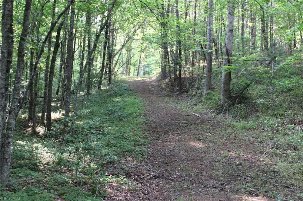 2541 Collinstown Road Westfield, NC 27053