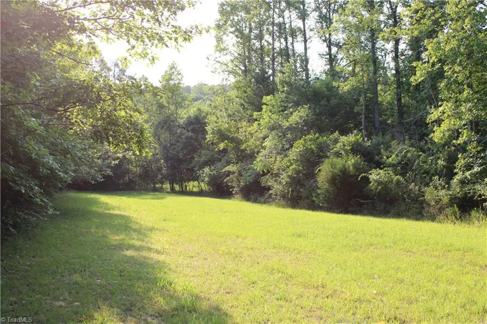 2541 Collinstown Road Westfield, NC 27053