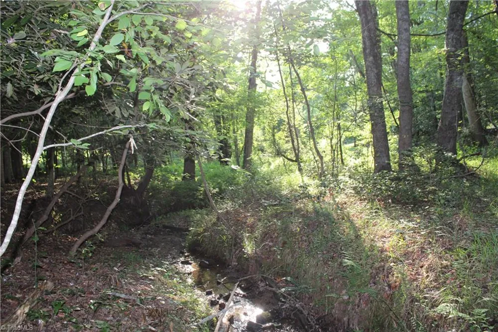 2541 Collinstown Road Westfield, NC 27053