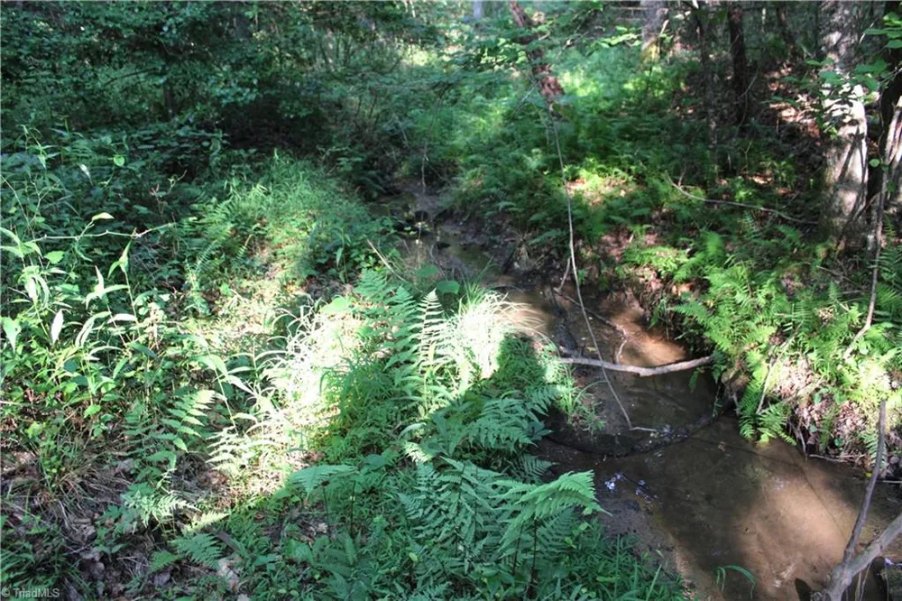 2541 Collinstown Road Westfield, NC 27053