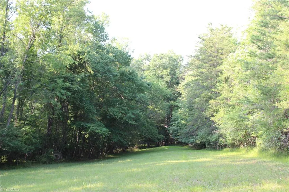 2541 Collinstown Road Westfield, NC 27053