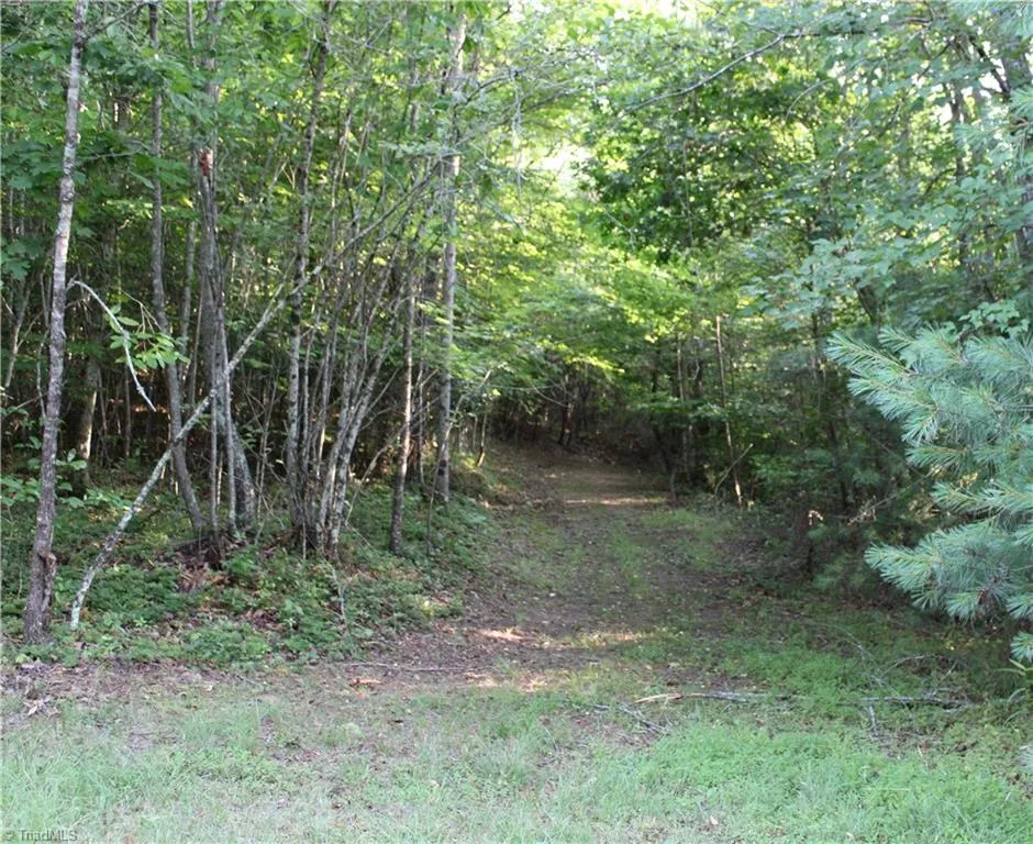 2541 Collinstown Road Westfield, NC 27053
