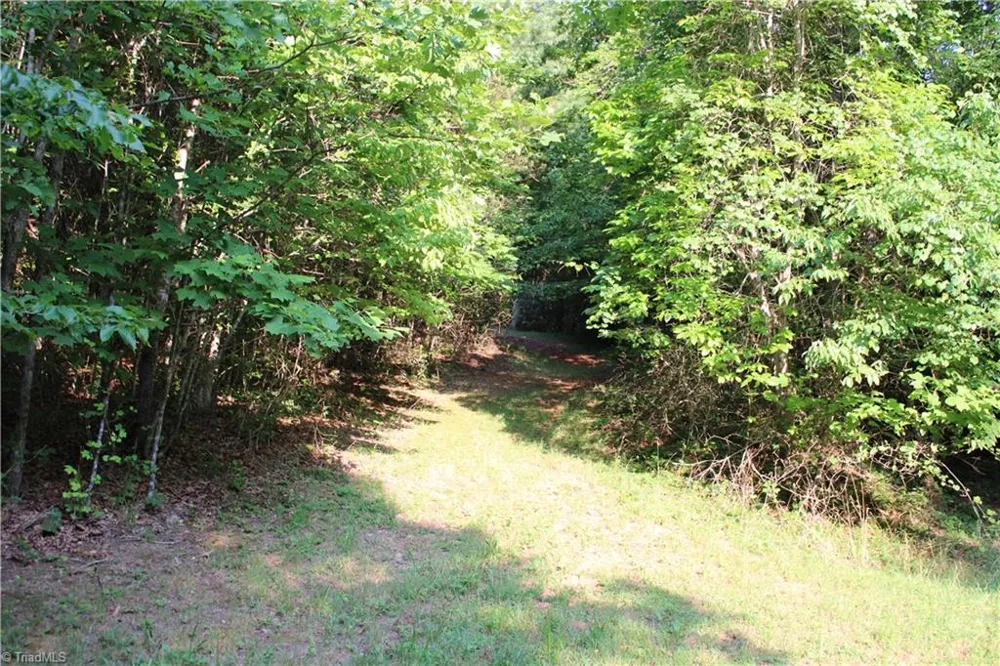 2541 Collinstown Road Westfield, NC 27053