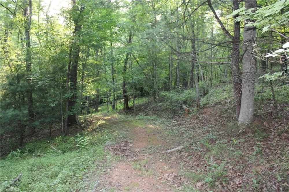2541 Collinstown Road Westfield, NC 27053