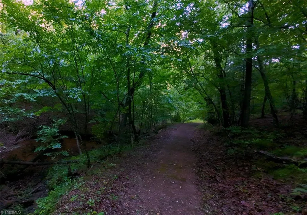 2541 Collinstown Road Westfield, NC 27053
