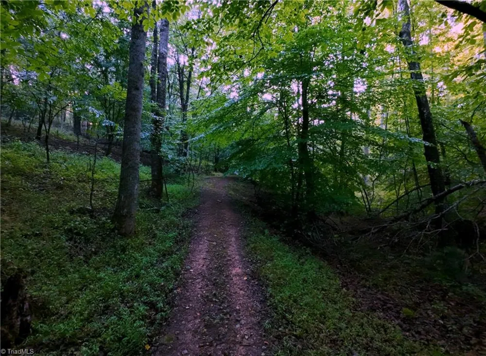 2541 Collinstown Road Westfield, NC 27053