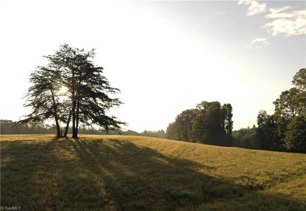 2541 Collinstown Road Westfield, NC 27053