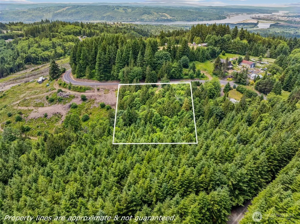 1899 Mt Pleasant Road Kelso, WA 98626