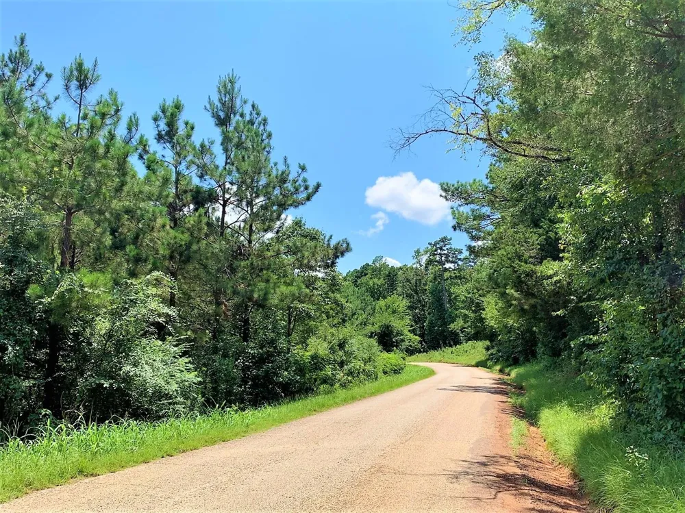 558 County Road 4101 Jacksonville, TX 75766