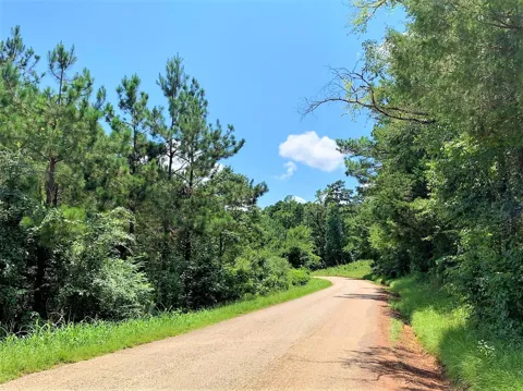 558 County Road 4101