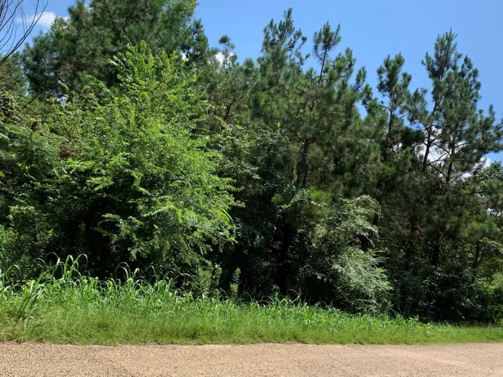 558 County Road 4101 Jacksonville, TX 75766