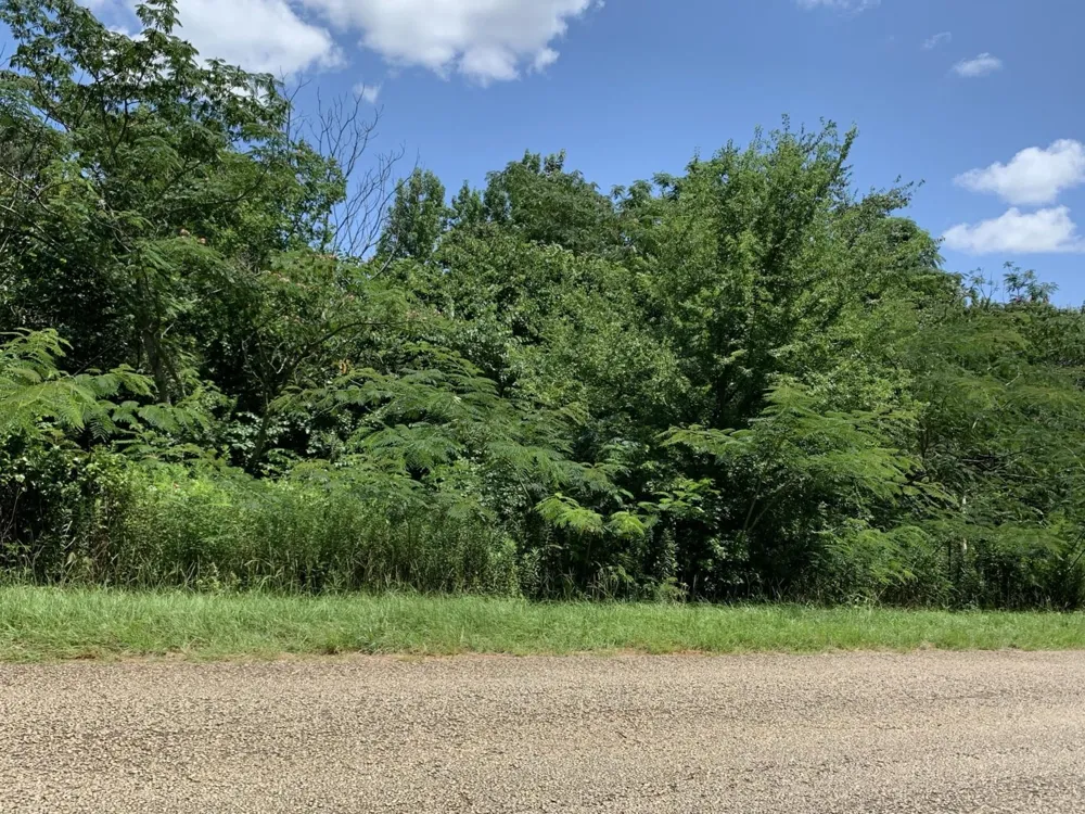558 County Road 4101 Jacksonville, TX 75766