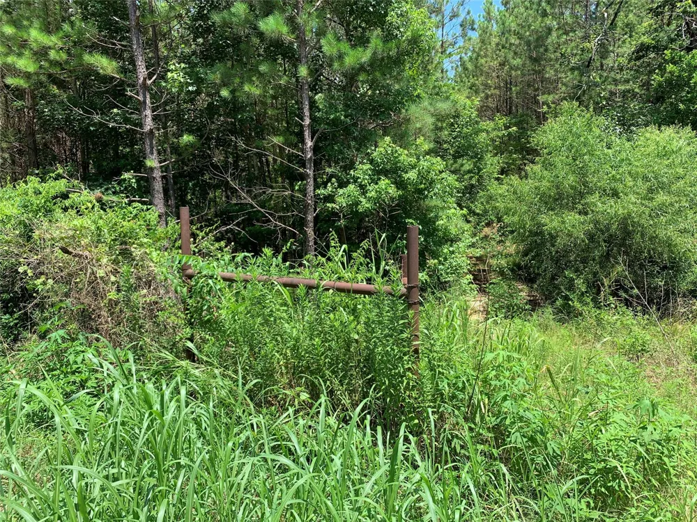 558 County Road 4101 Jacksonville, TX 75766