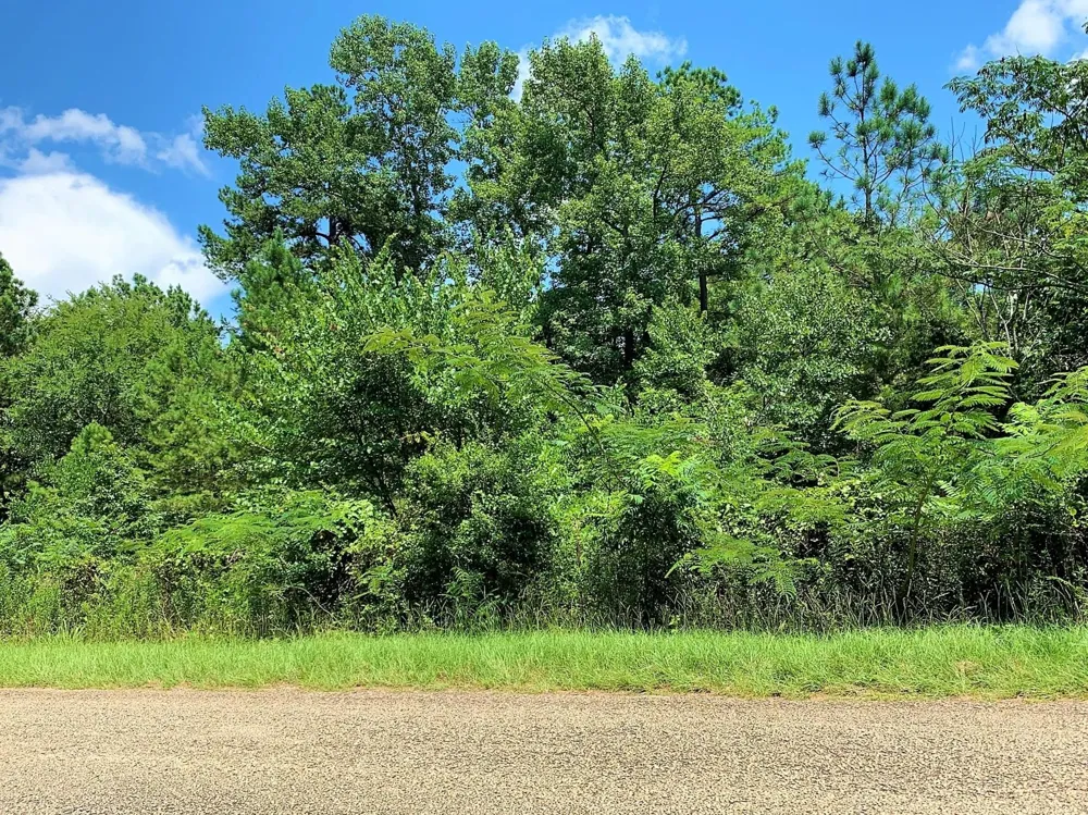 558 County Road 4101 Jacksonville, TX 75766