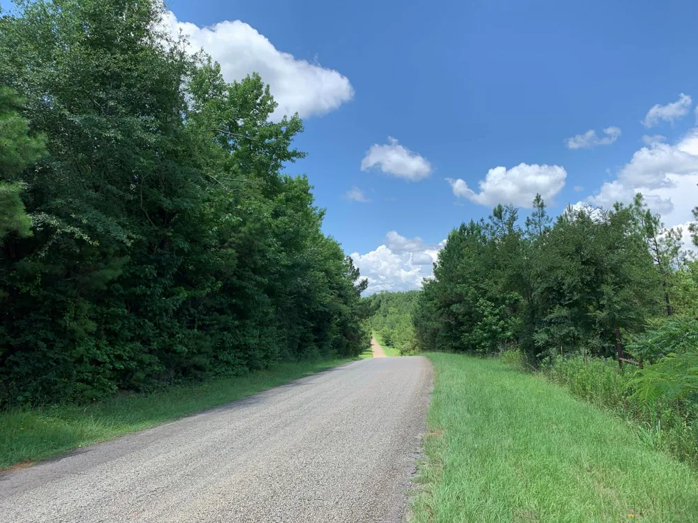558 County Road 4101 Jacksonville, TX 75766