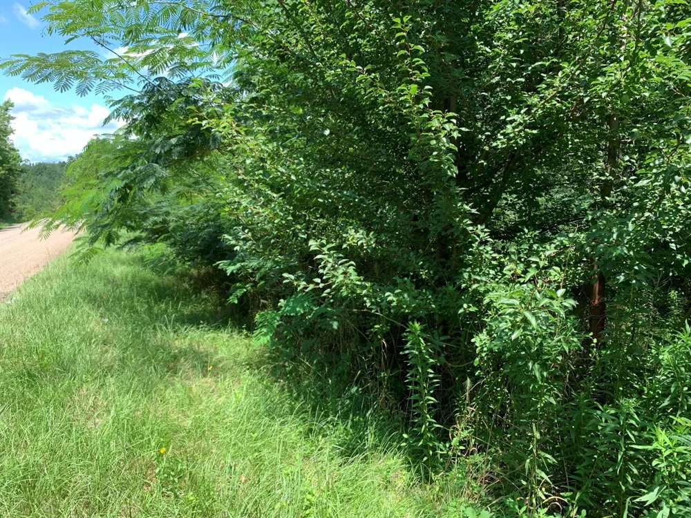 558 County Road 4101 Jacksonville, TX 75766