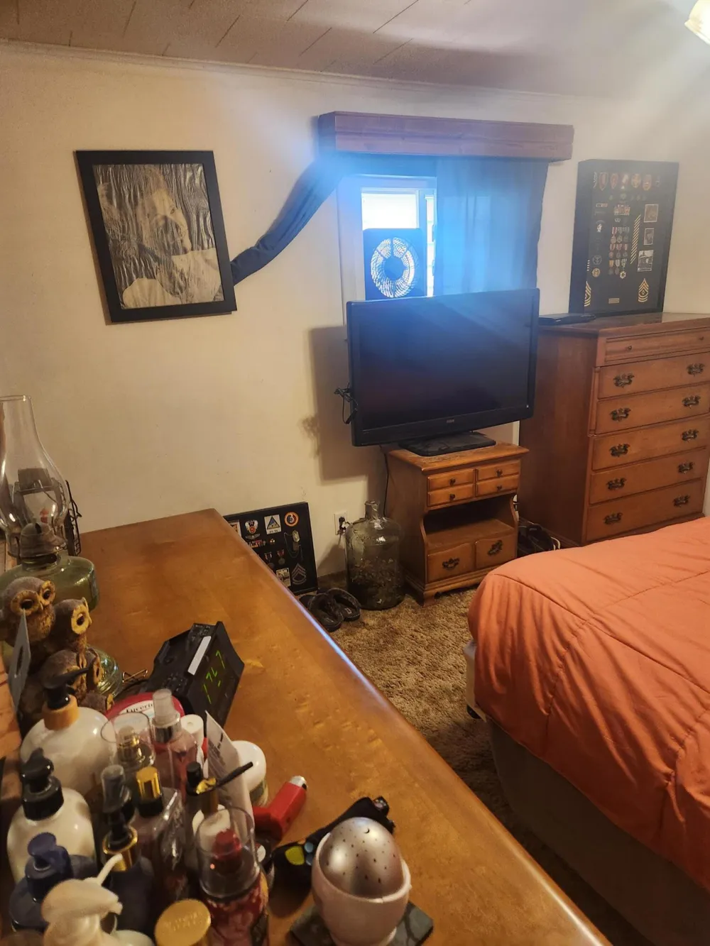 3838 Pine Trail Evergreen Township, MI 48884