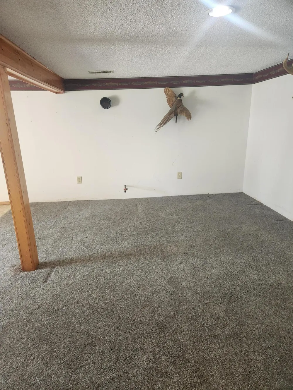 3838 Pine Trail Evergreen Township, MI 48884