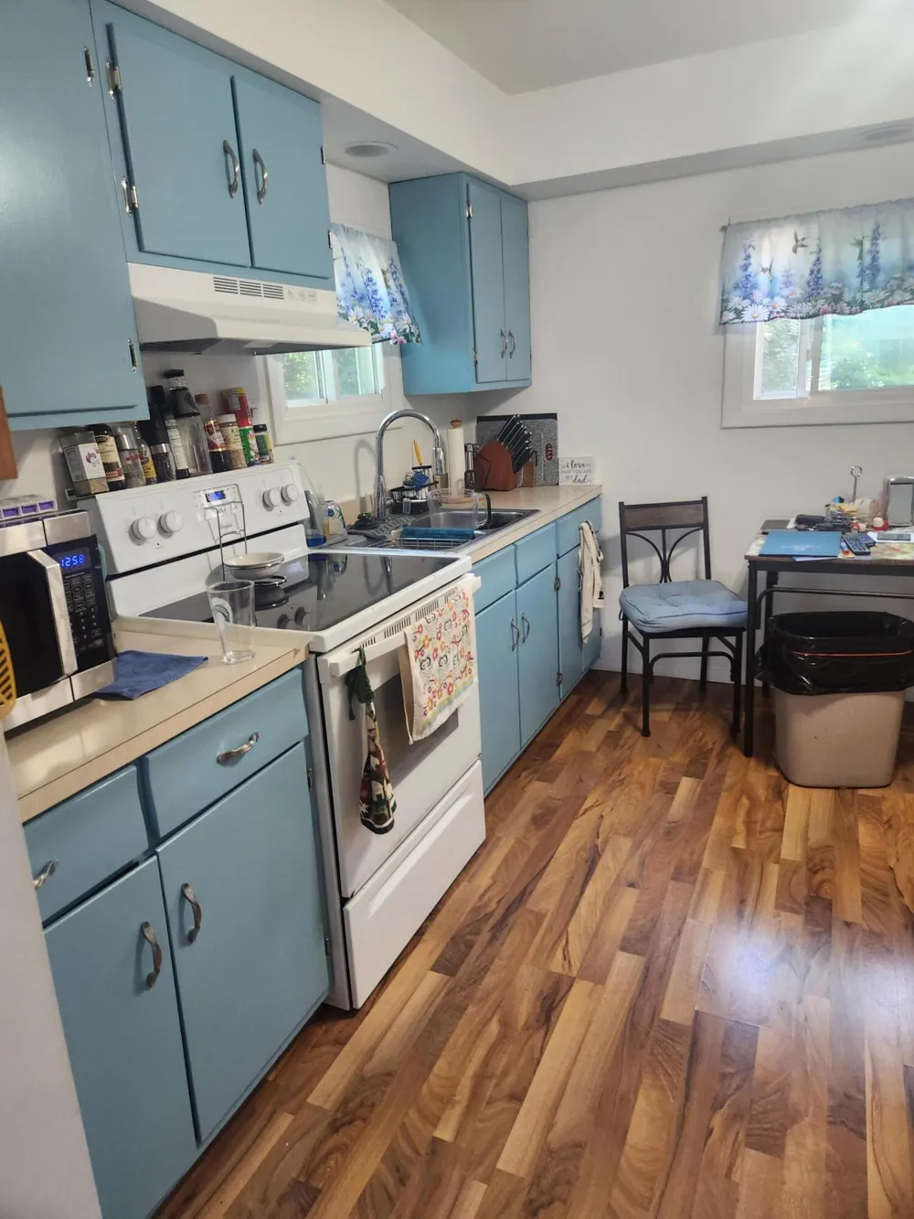 3838 Pine Trail Evergreen Township, MI 48884