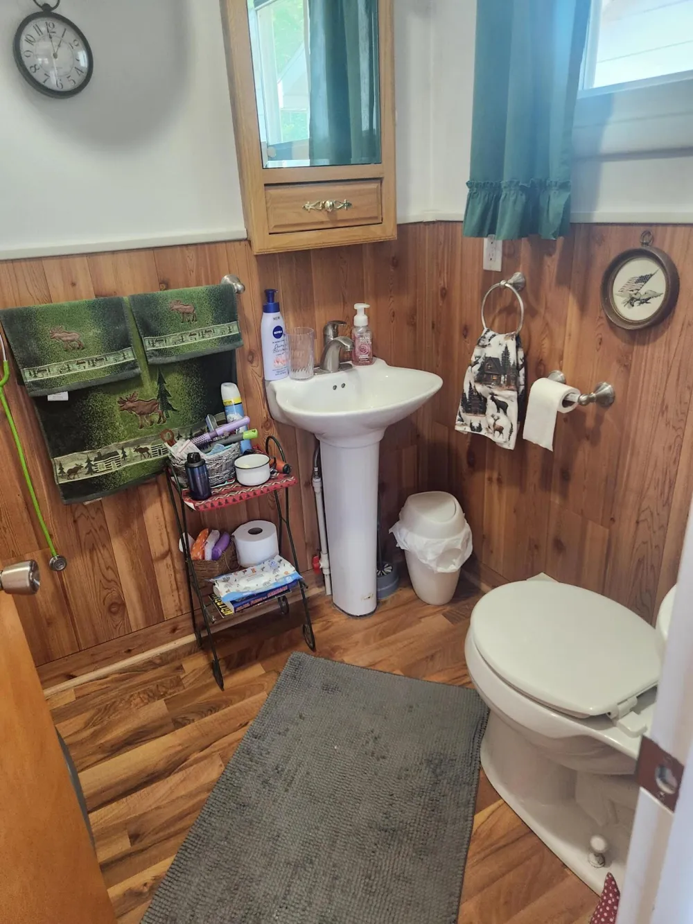 3838 Pine Trail Evergreen Township, MI 48884
