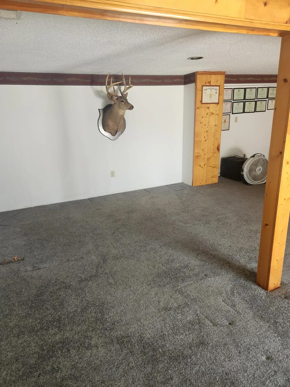 3838 Pine Trail Evergreen Township, MI 48884