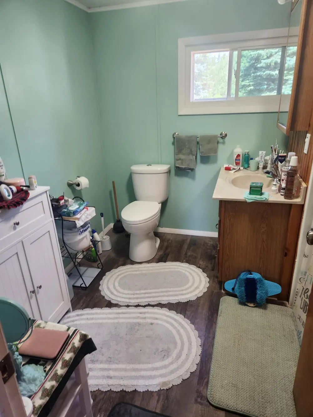 3838 Pine Trail Evergreen Township, MI 48884