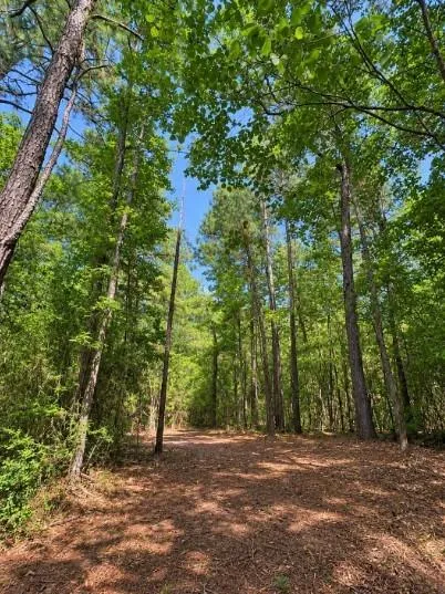 238 Sky Oak Lane Huntsville, TX 77340