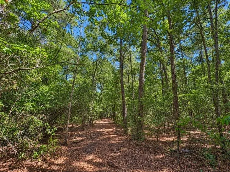 238 Sky Oak Lane Huntsville, TX 77340