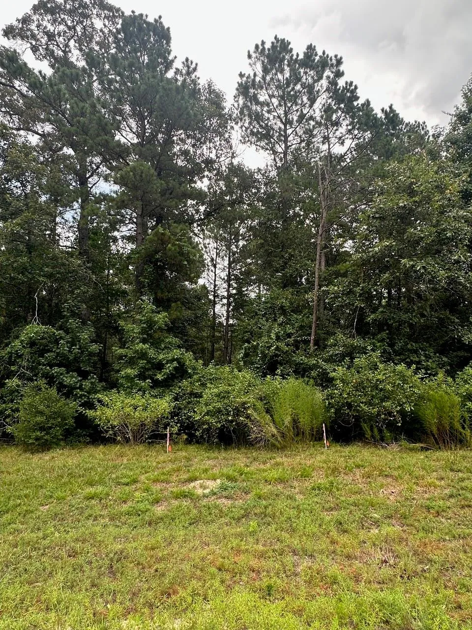 238 Sky Oak Lane Huntsville, TX 77340