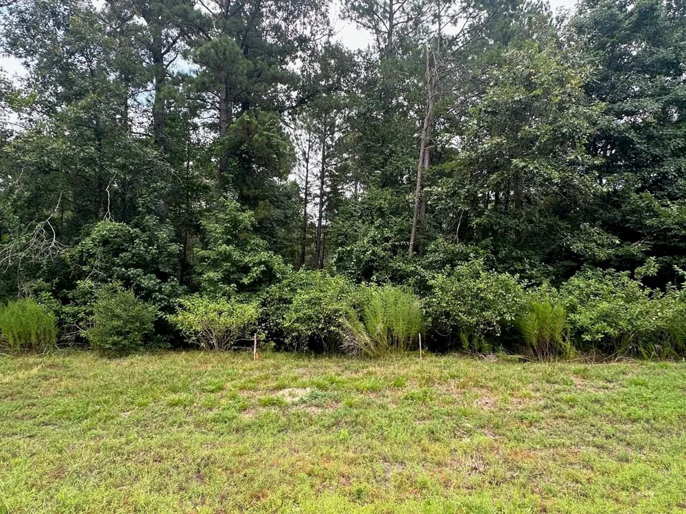 238 Sky Oak Lane Huntsville, TX 77340