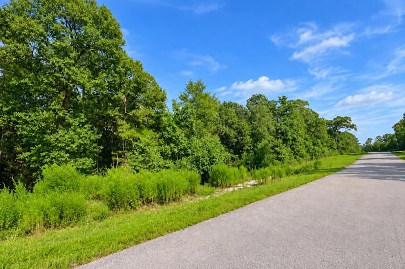238 Sky Oak Lane Huntsville, TX 77340