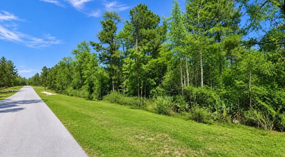238 Sky Oak Lane Huntsville, TX 77340