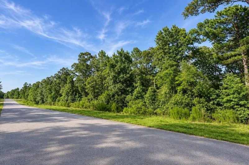 238 Sky Oak Lane Huntsville, TX 77340
