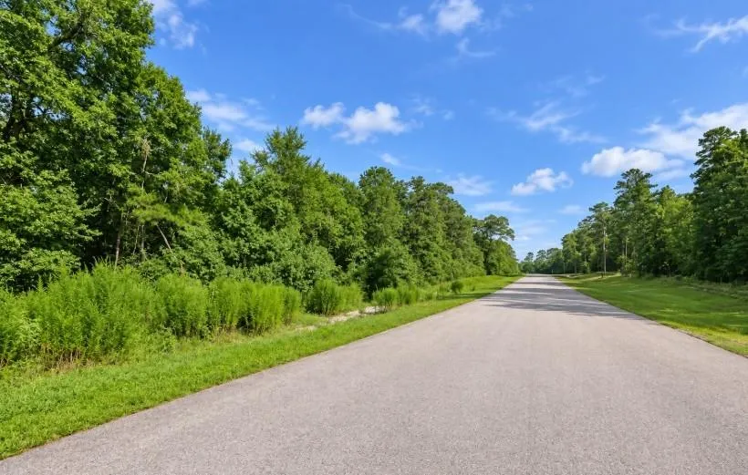 238 Sky Oak Lane Huntsville, TX 77340