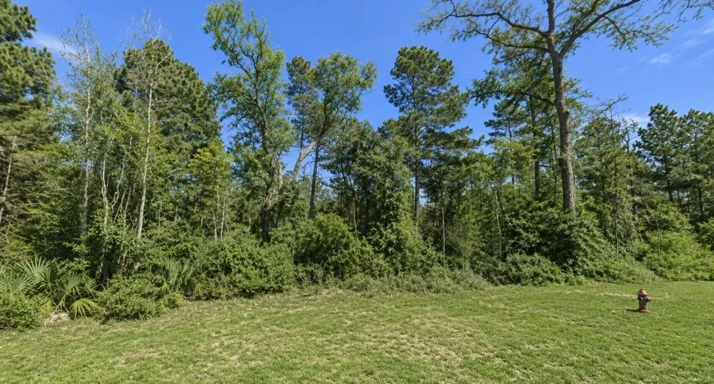 238 Sky Oak Lane Huntsville, TX 77340