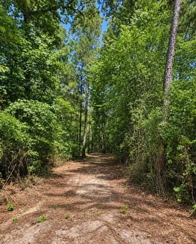 238 Sky Oak Lane Huntsville, TX 77340