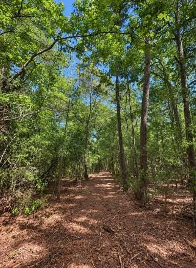 238 Sky Oak Lane Huntsville, TX 77340
