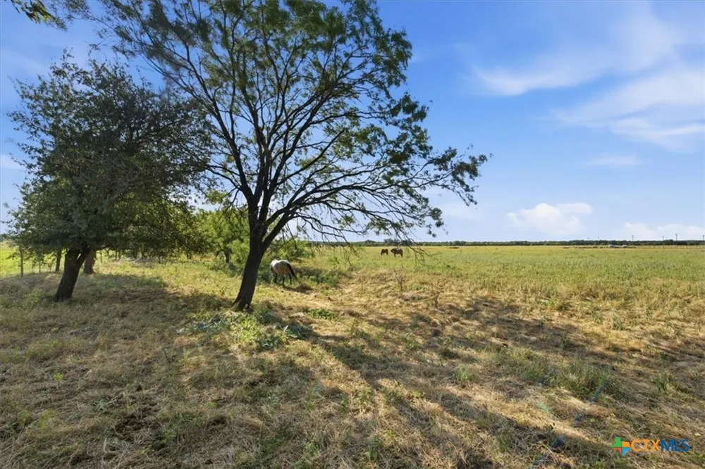 5610 County Road 174 - Tract 1 Gatesville, TX 76528