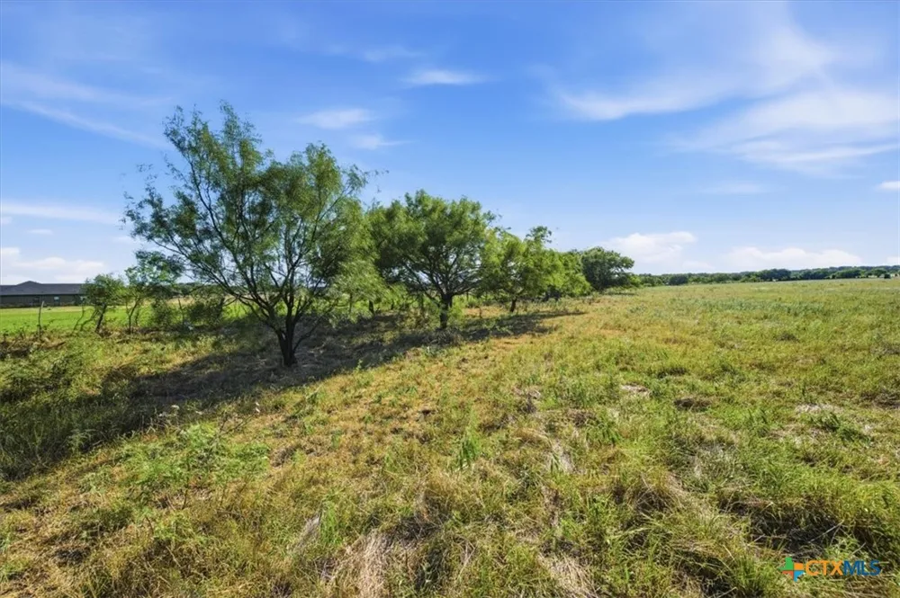 5610 County Road 174 - Tract 5 Gatesville, TX 76528