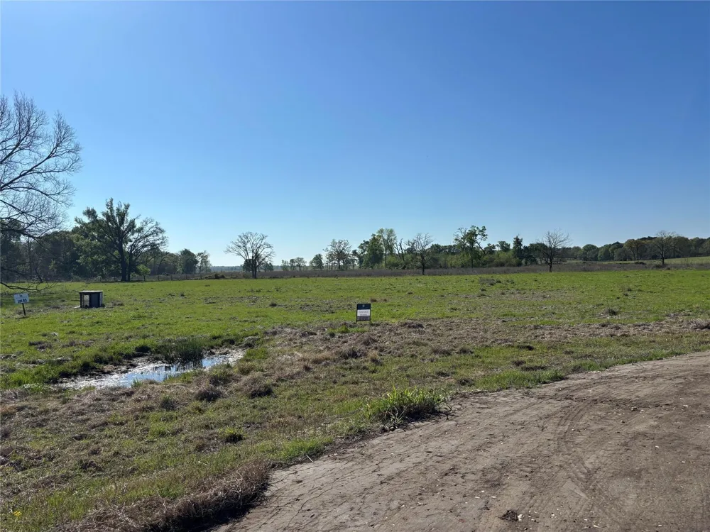 85 County Road 231 Centerville, TX 75833