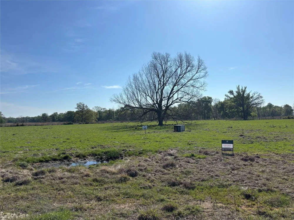 85 County Road 231 Centerville, TX 75833