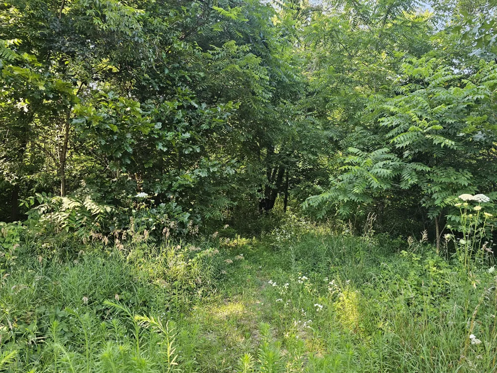 12671 Fort Custer Drive Galesburg, MI 49053