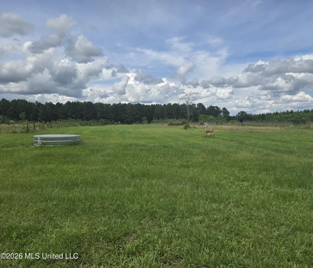 1933 Columbia Purvis Road Columbia, MS 39429
