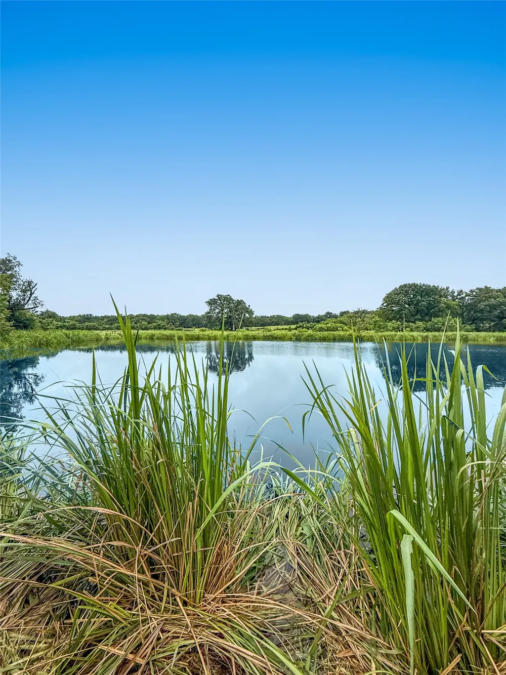 9224 County Road 1200 Athens, TX 75751