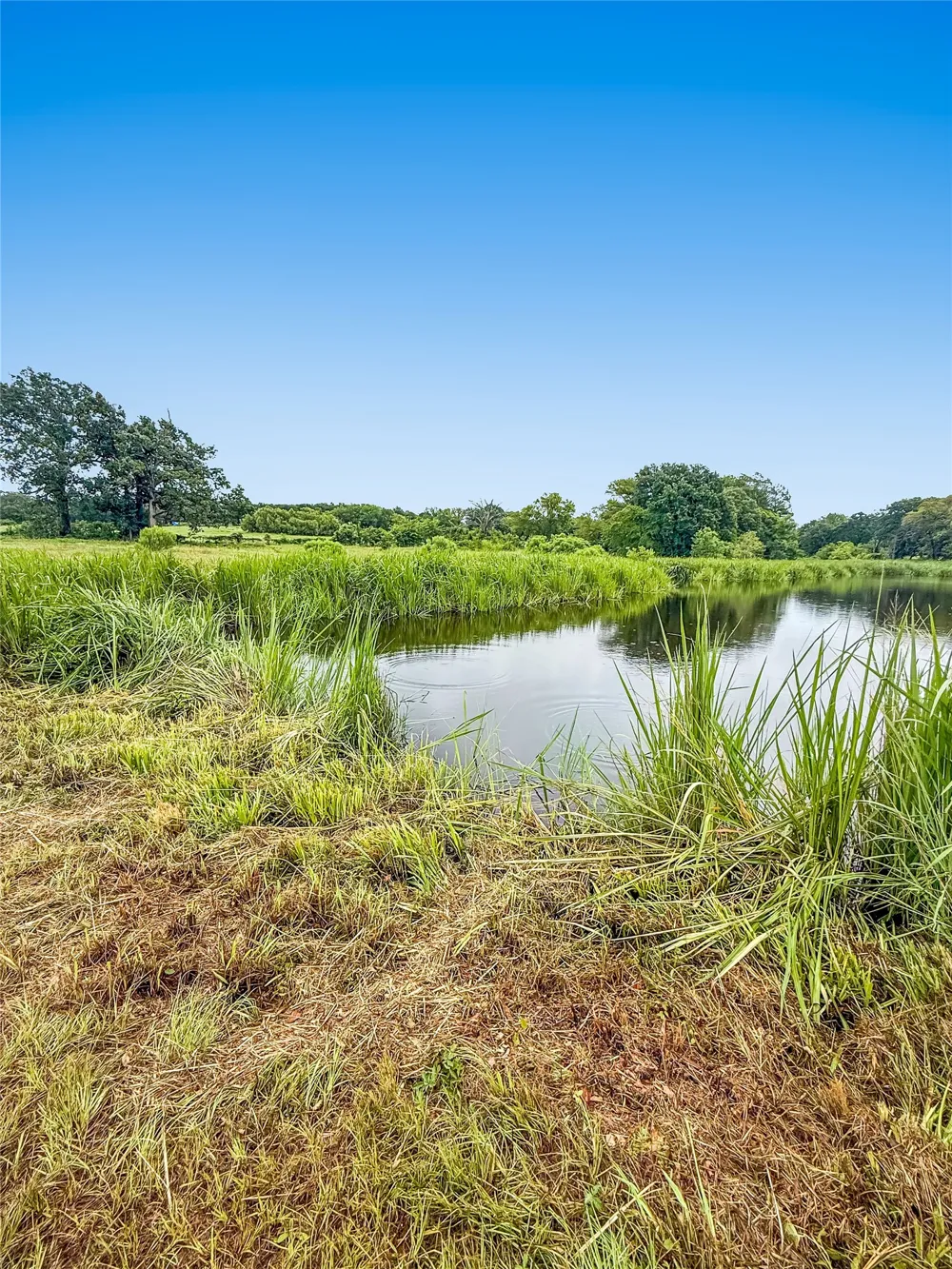 9224 County Road 1200 Athens, TX 75751